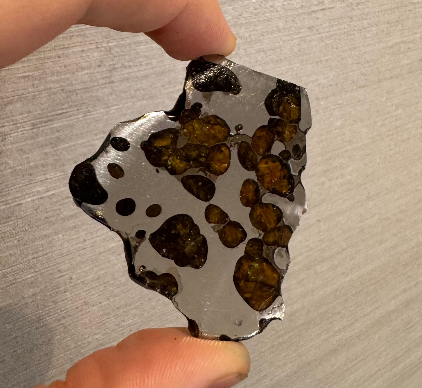 Brenham Pallasite Slice 30 grams in stand
