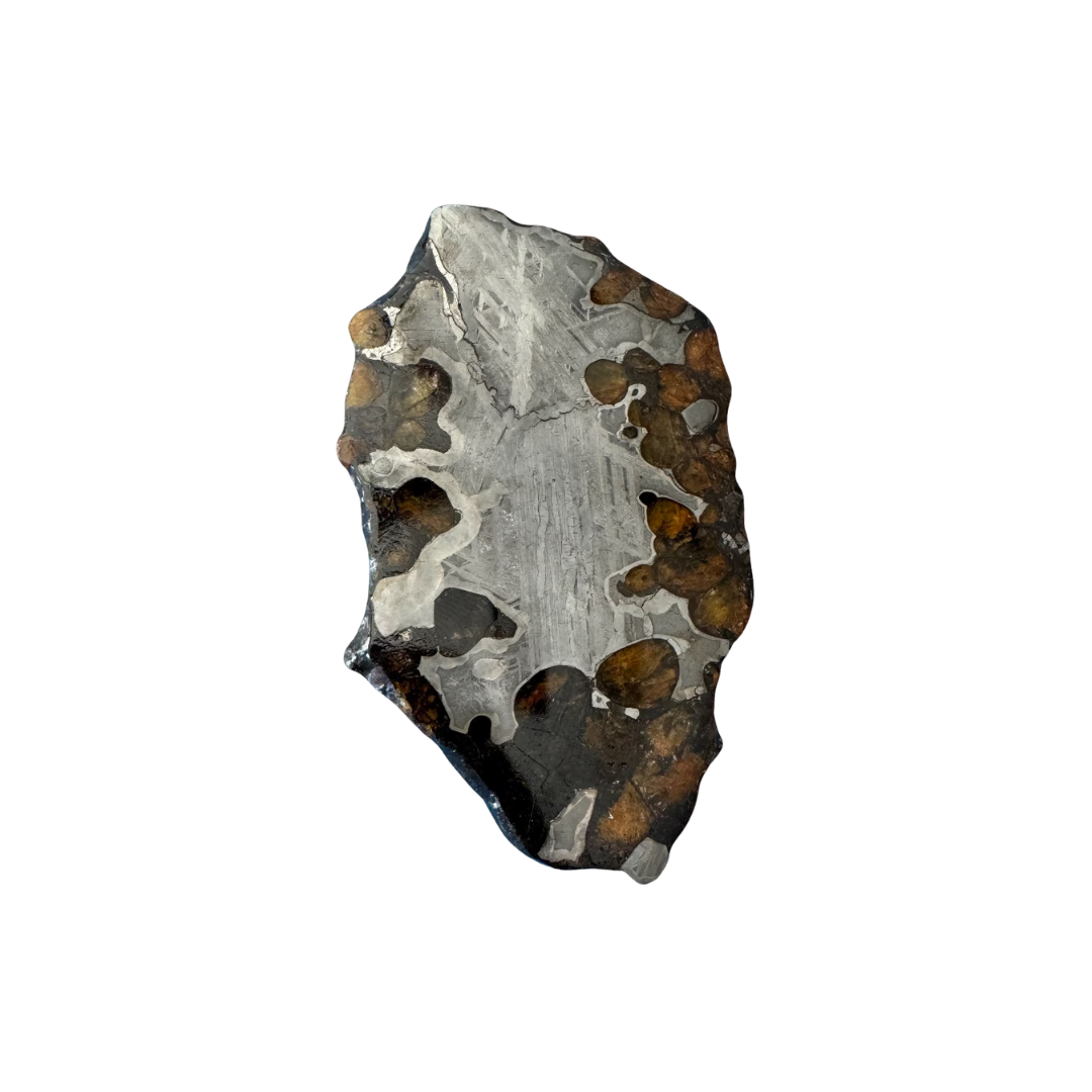 Brenham Pallasite Meteorite