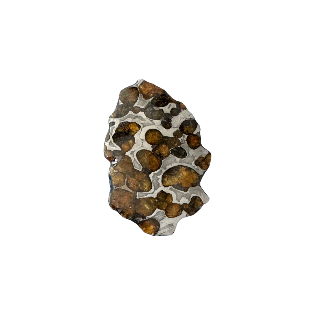 Brenham Pallasite Slice 29 grams in stand