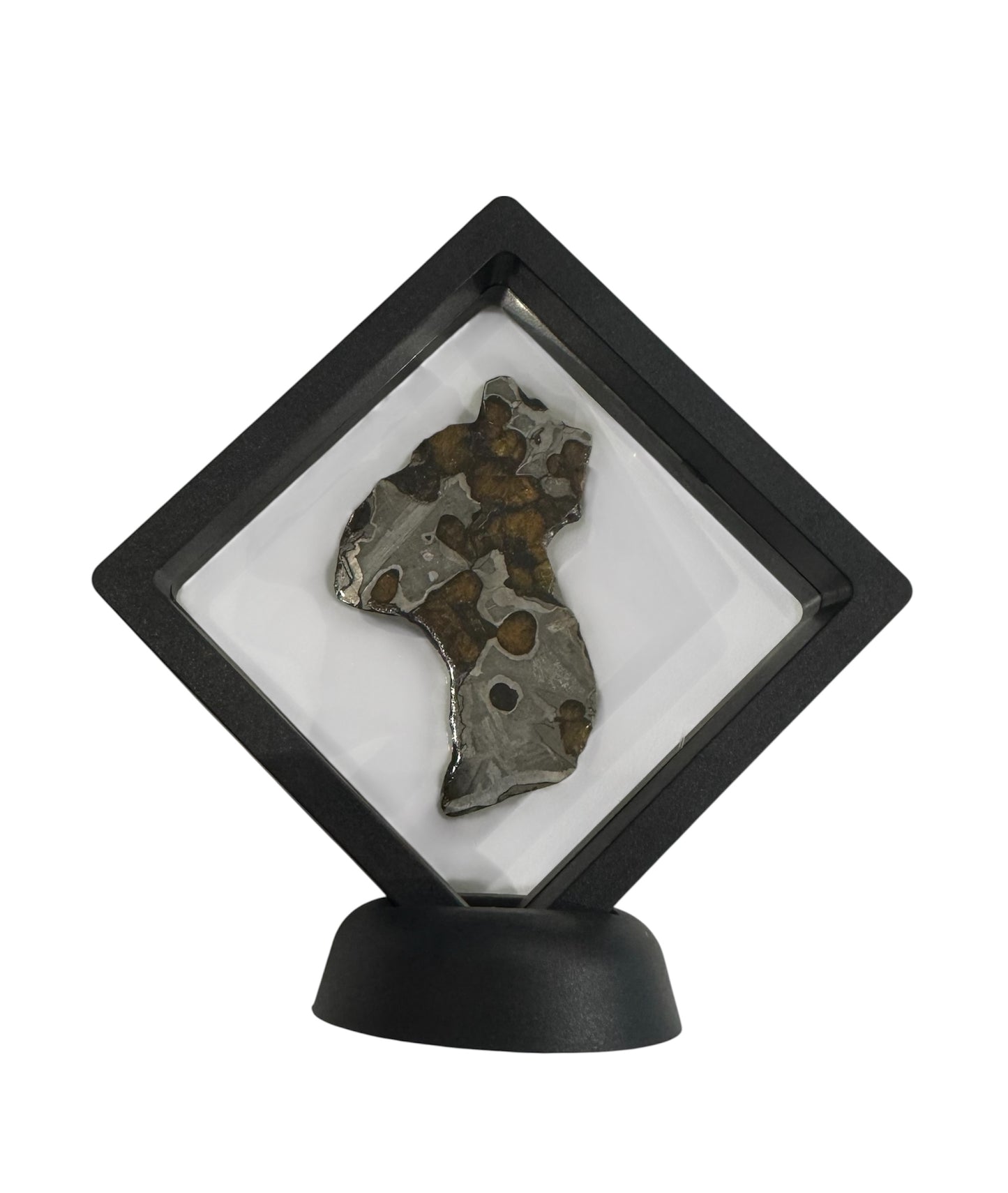 Brenham Pallasite Slice 28 grams in stand