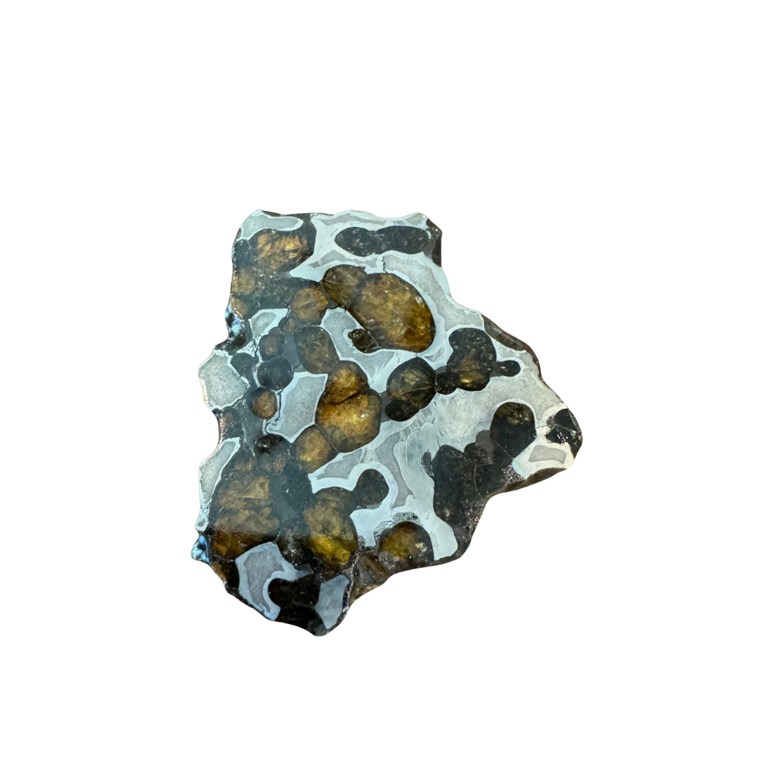 Brenham Pallasite Slice 30 grams in stand