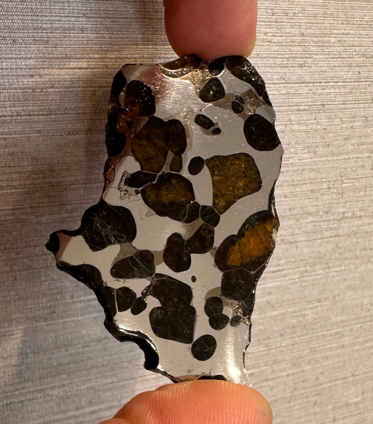 Brenham Pallasite Slice 24 grams in stand