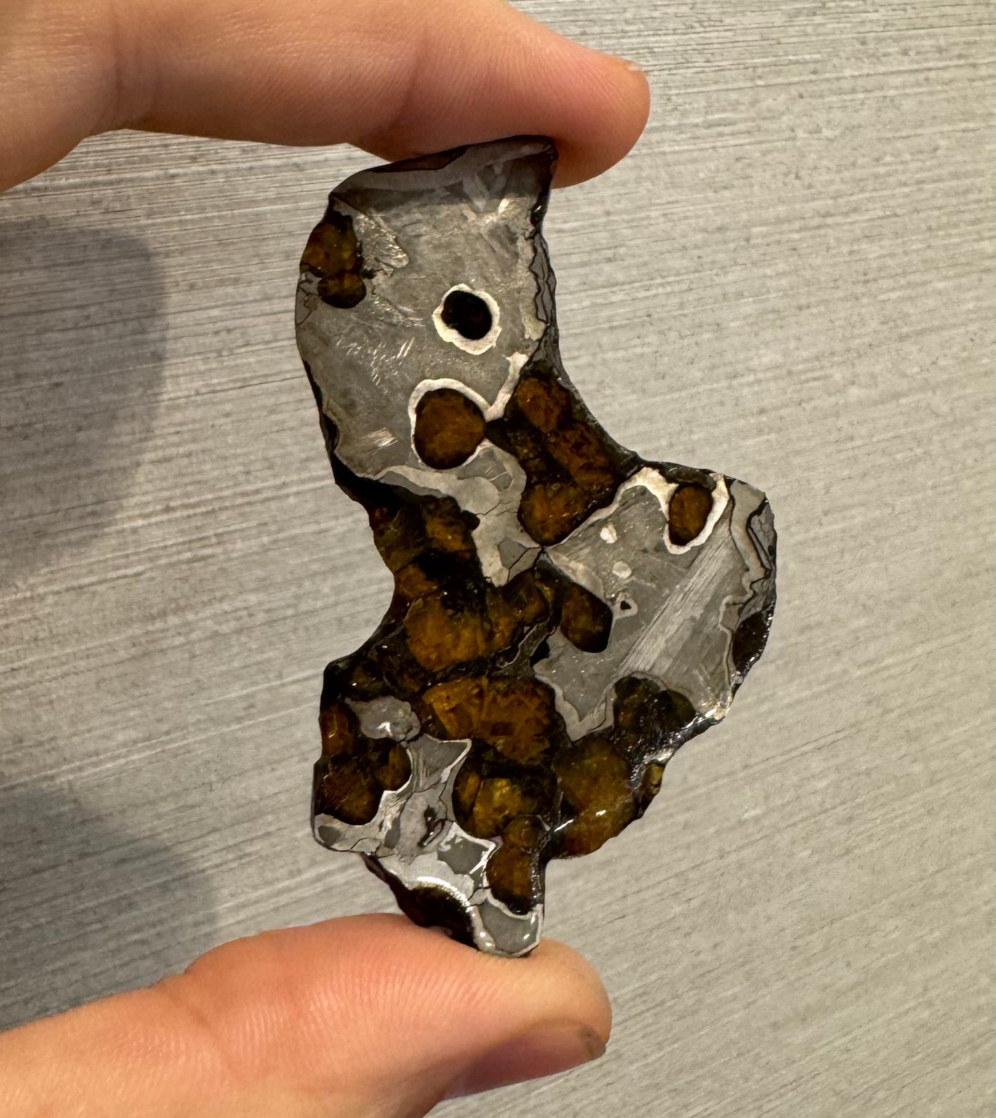 Brenham Pallasite Slice 28 grams in stand