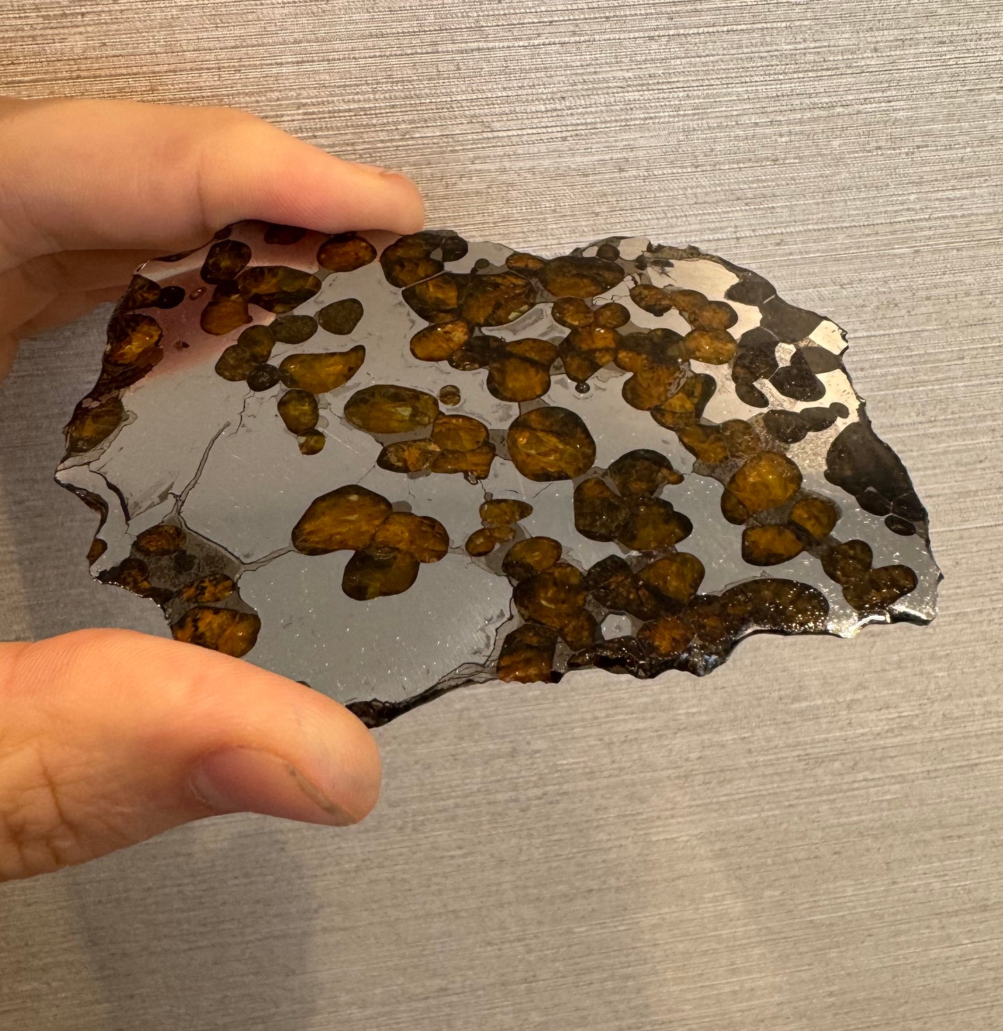 Brenham Pallasite Slice 67 grams