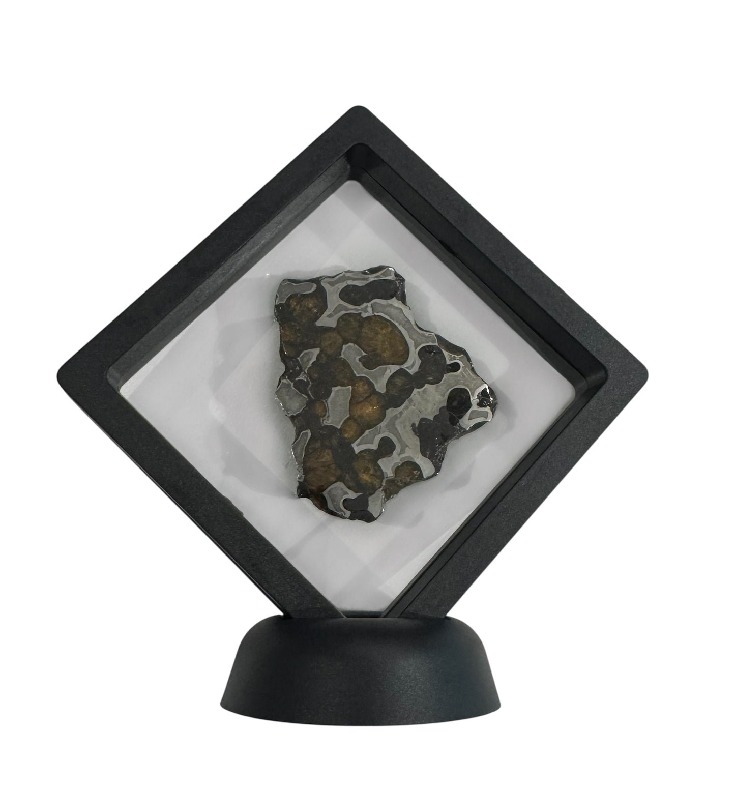 Brenham Pallasite Slice 30 grams in stand