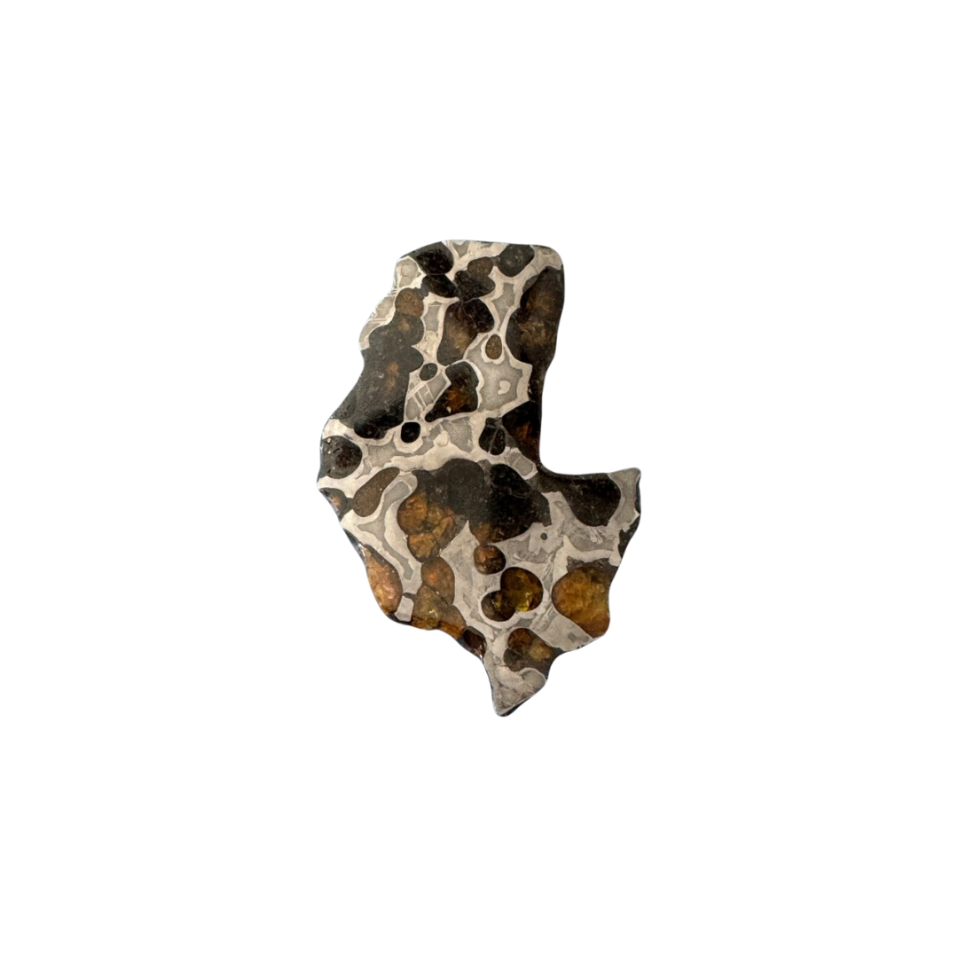 Brenham Pallasite Slice 27 grams in stand
