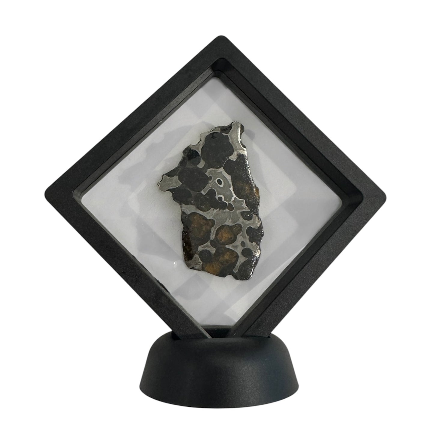 Brenham Pallasite Slice 24 grams in stand