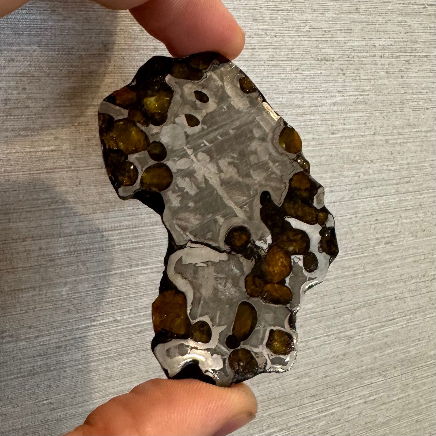 Brenham Pallasite Slice 40 grams in stand