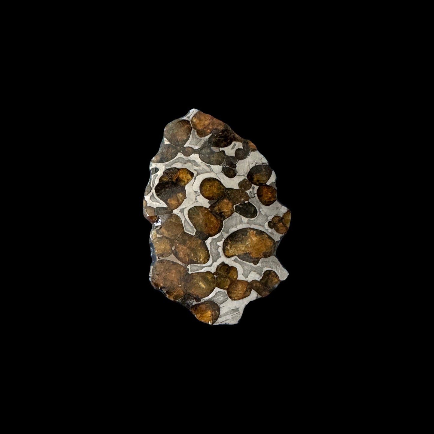 Brenham Pallasite Slice 29 grams in stand
