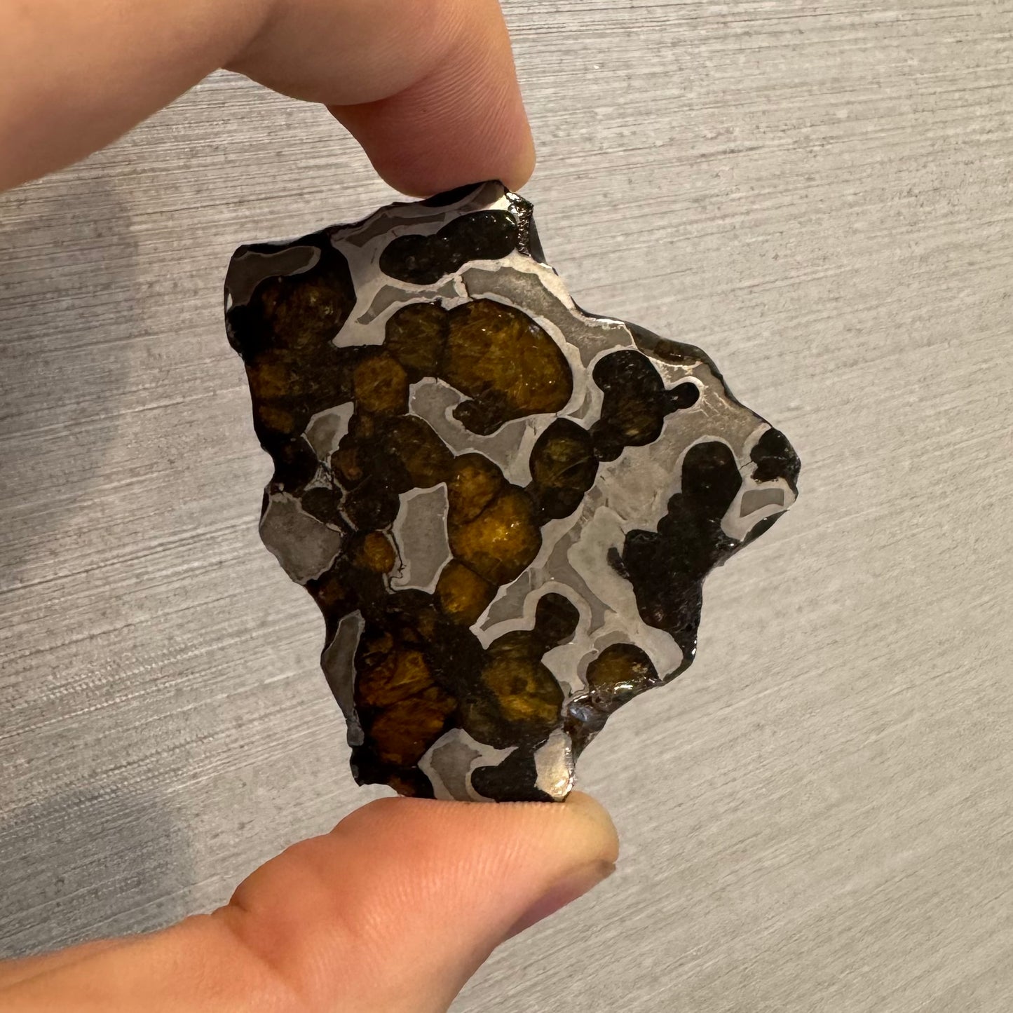 Brenham Pallasite Slice 30 grams in stand