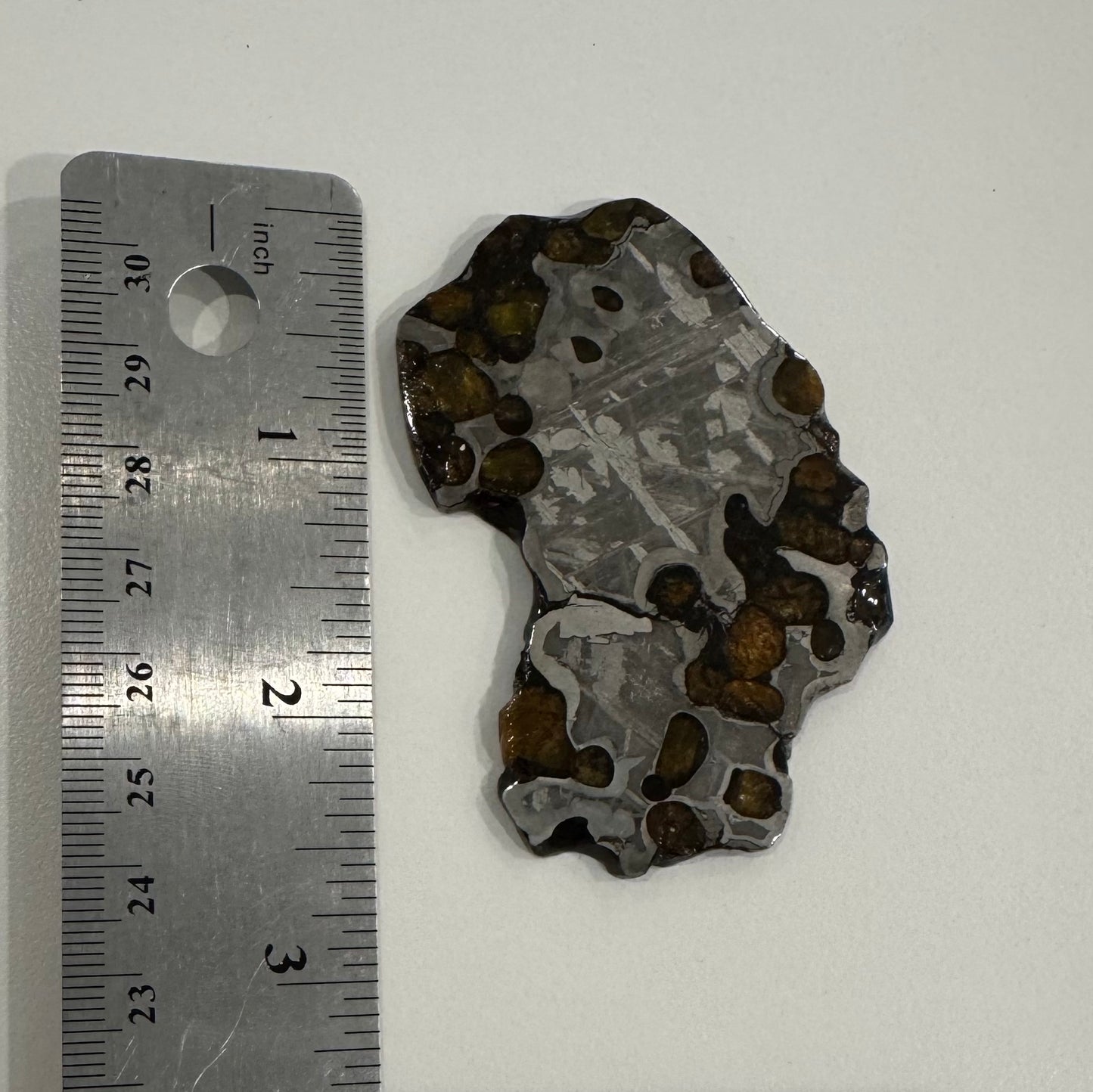 Brenham Pallasite Slice 40 grams in stand