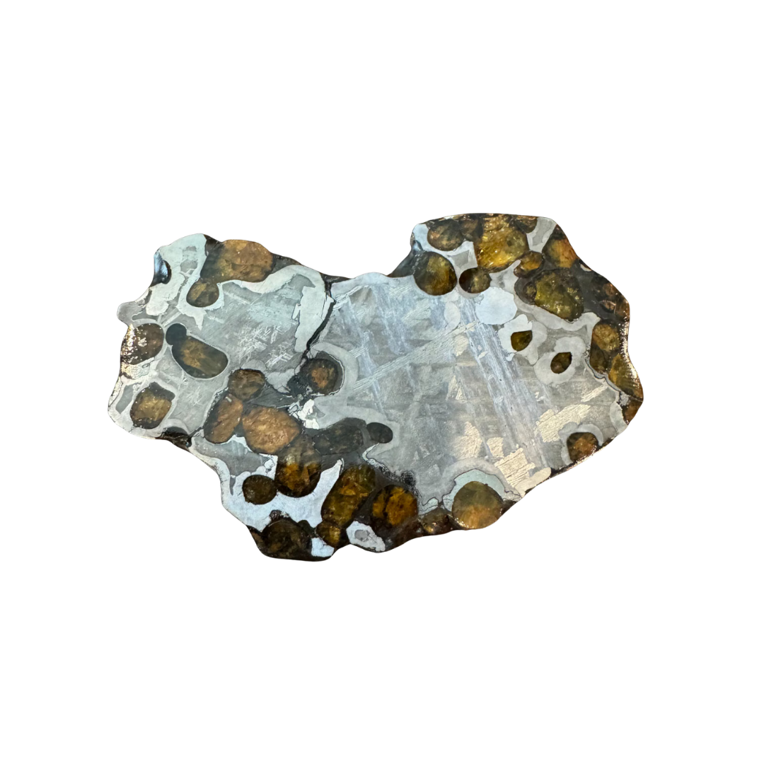 Brenham Pallasite Slice 40 grams in stand