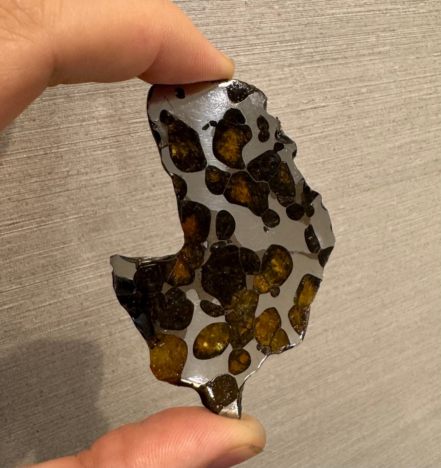 Brenham Pallasite Slice 27 grams in stand