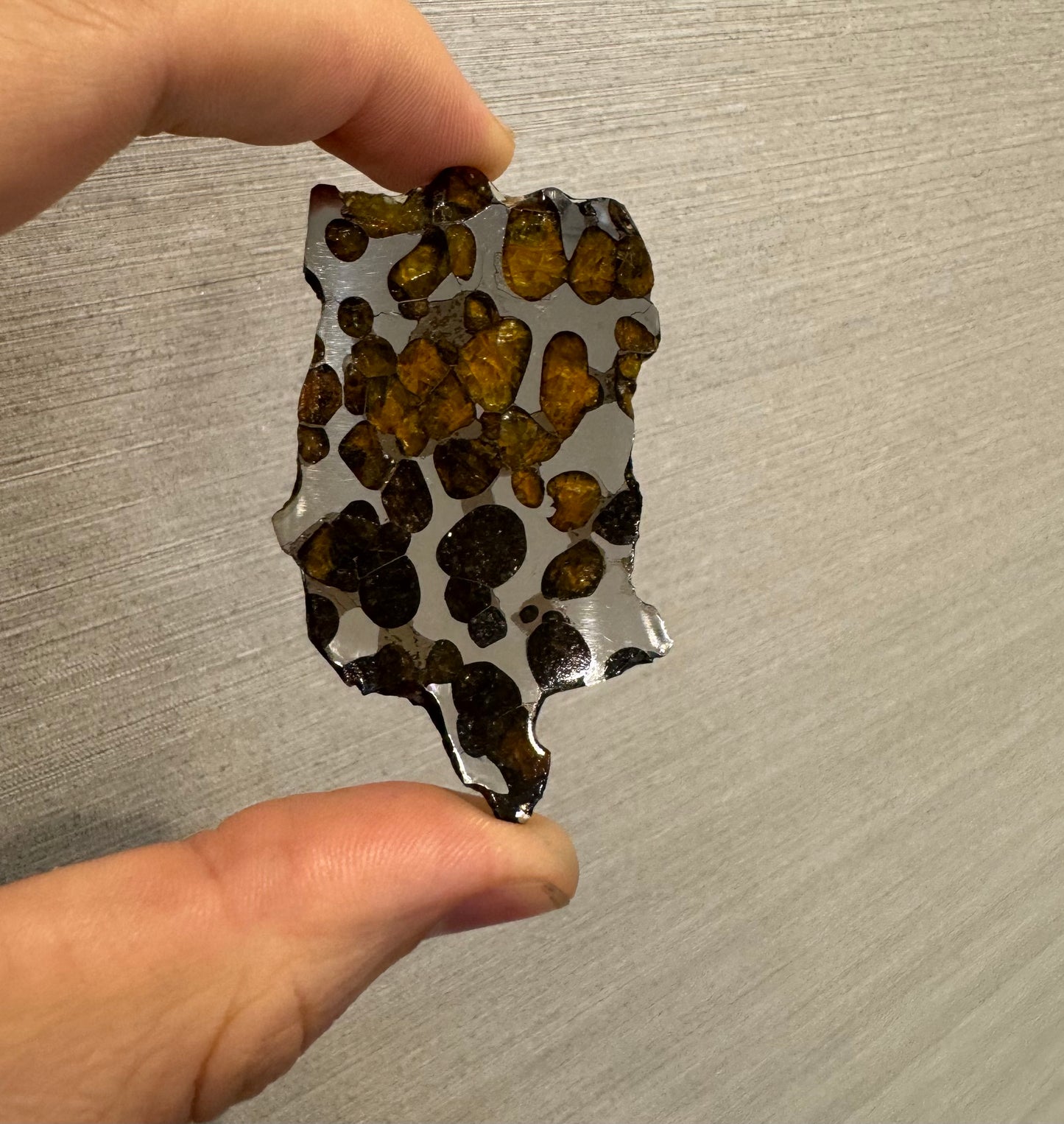 Brenham Pallasite Slice 25 grams in stand