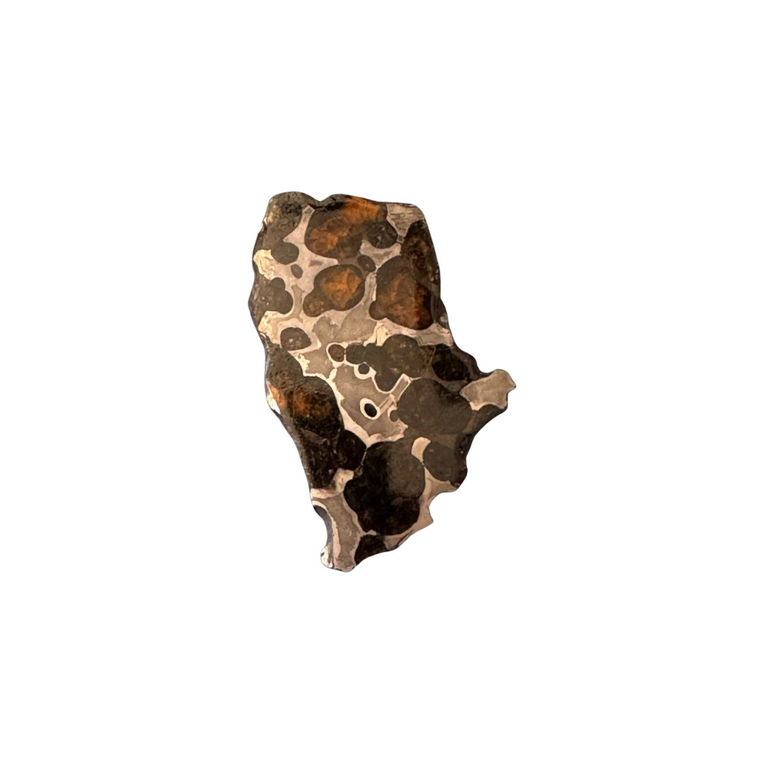 Brenham Pallasite Slice 24 grams in stand