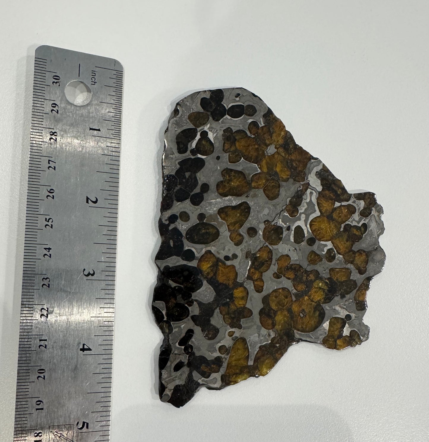 Brenham Pallasite Slice 98 grams