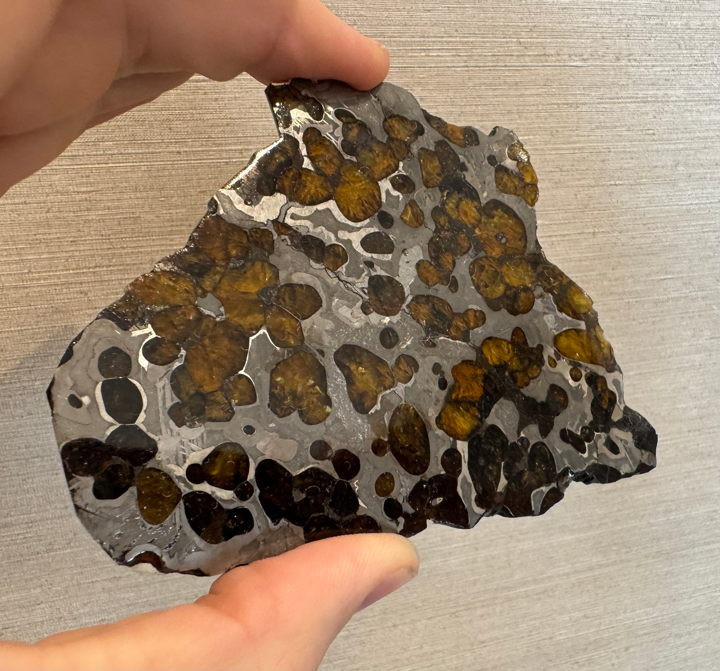 Brenham Pallasite Slice 98 grams