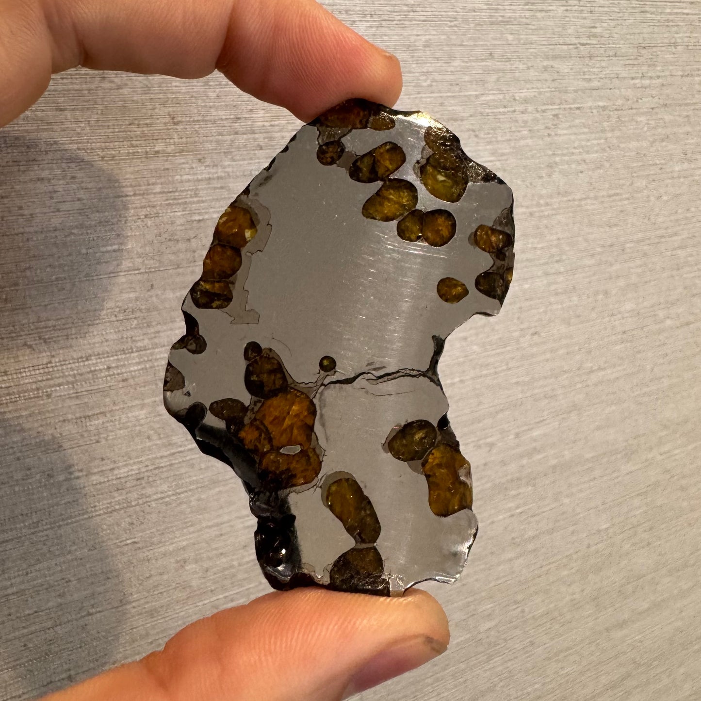 Brenham Pallasite Slice 40 grams in stand
