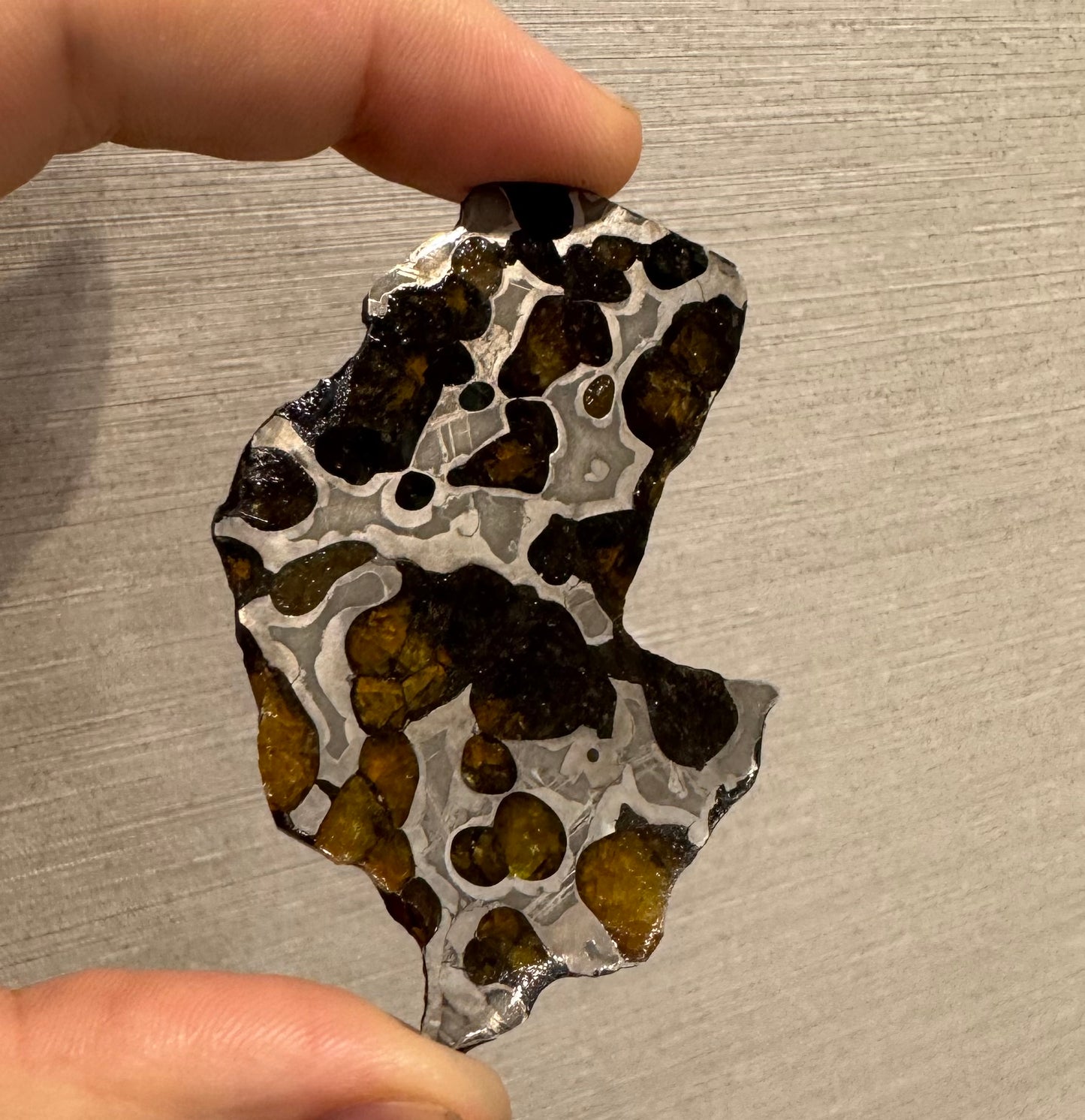 Brenham Pallasite Slice 27 grams in stand