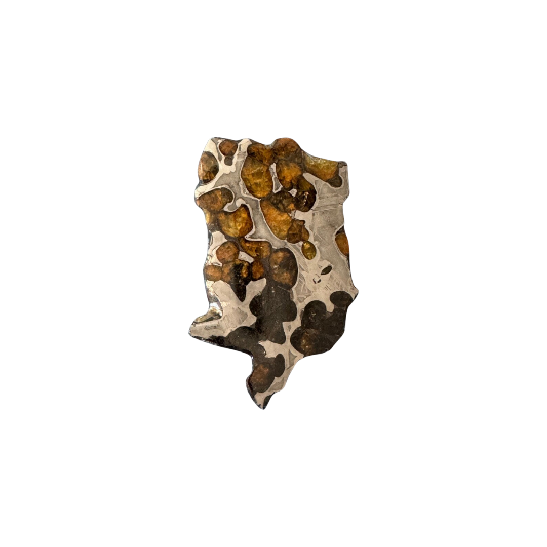 Brenham Pallasite Slice 25 grams in stand