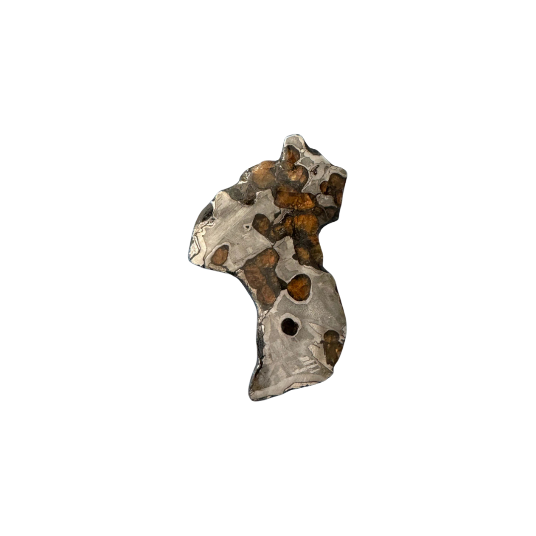 Brenham Pallasite Slice 28 grams in stand
