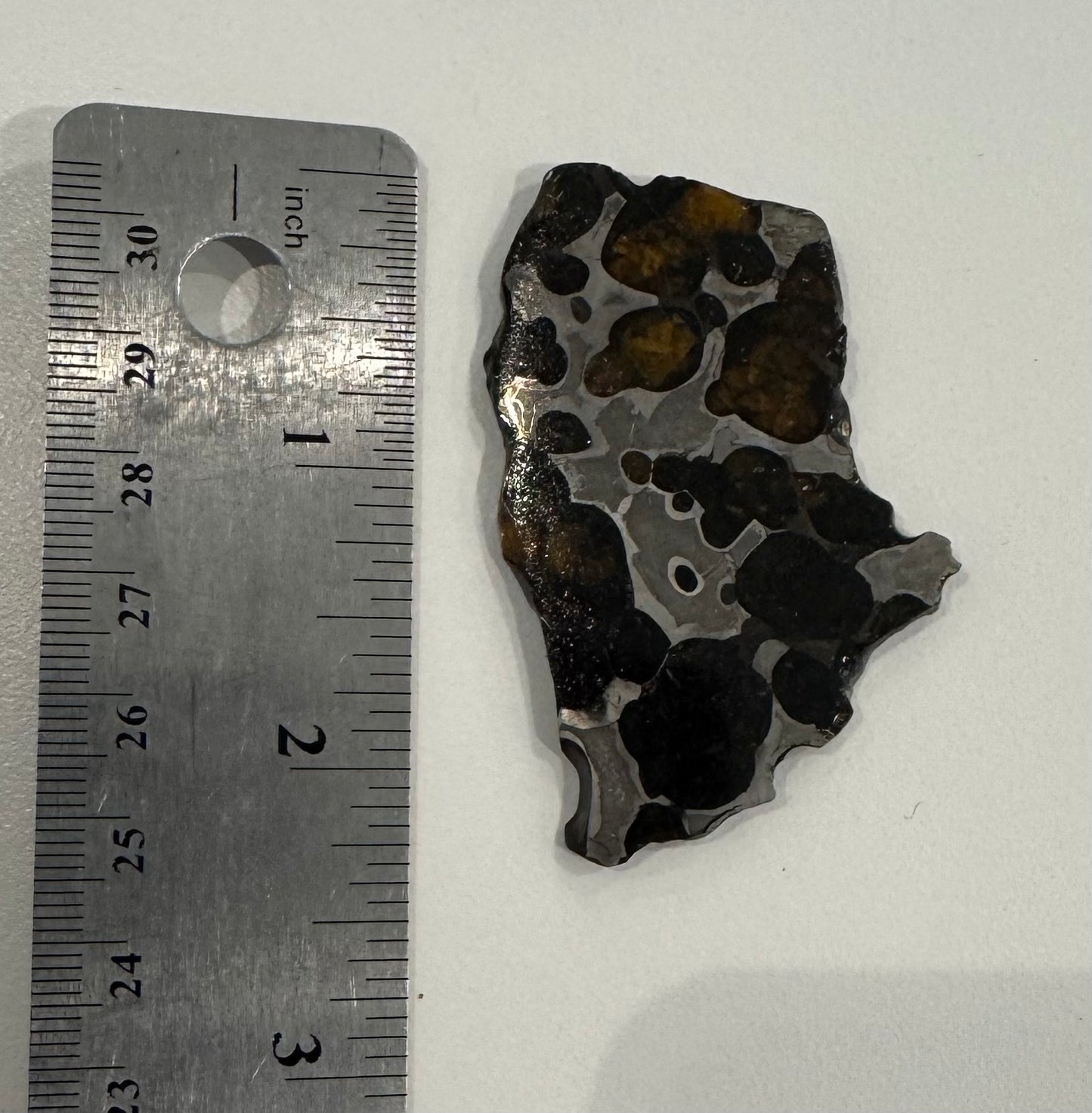 Brenham Pallasite Slice 24 grams in stand