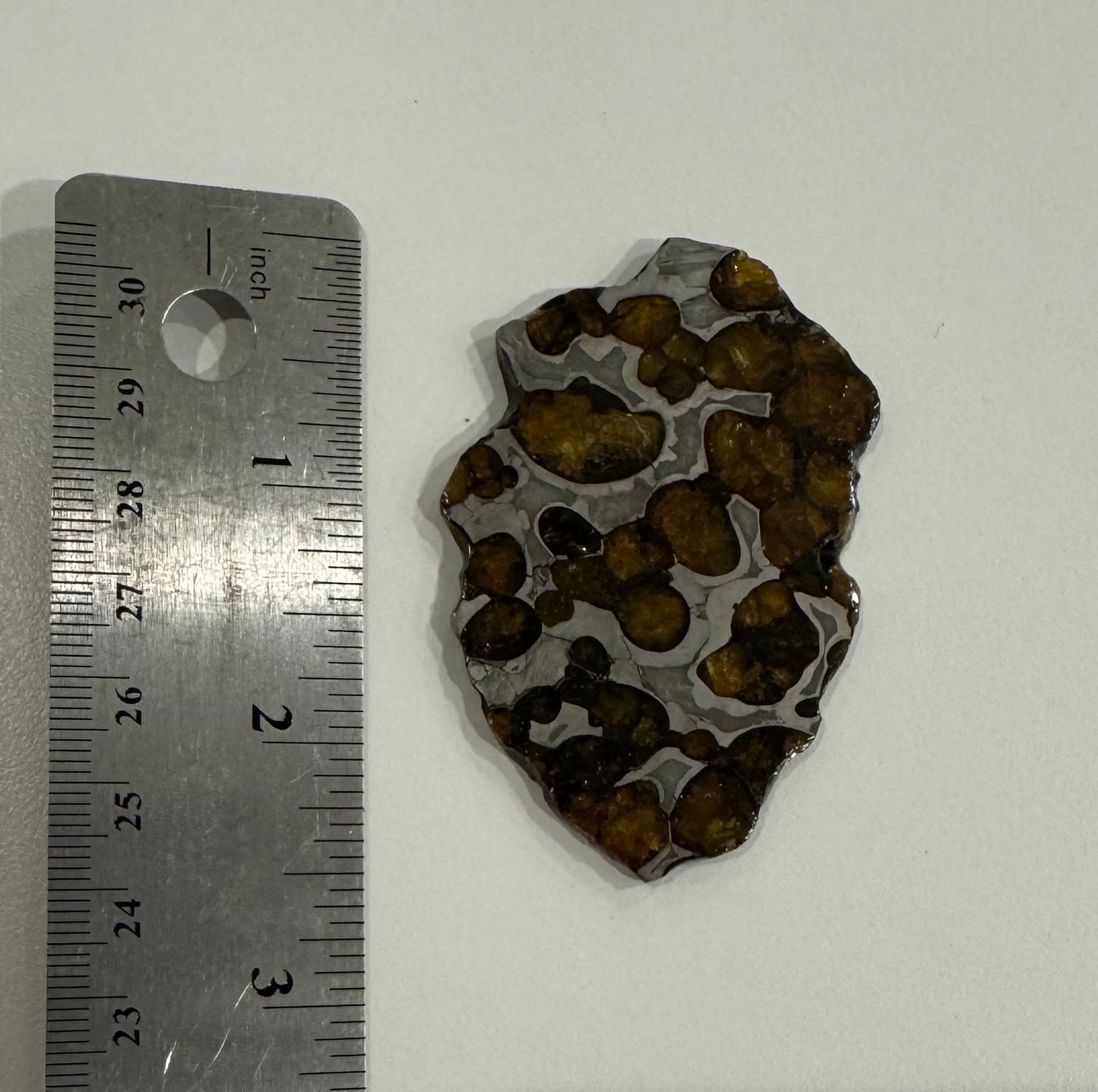 Brenham Pallasite Slice 29 grams in stand