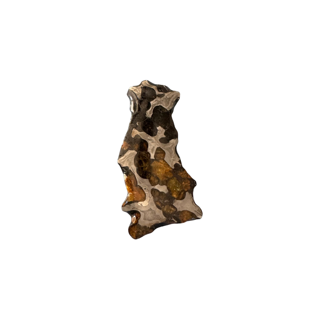 Brenham Pallasite Slice 23 grams in stand