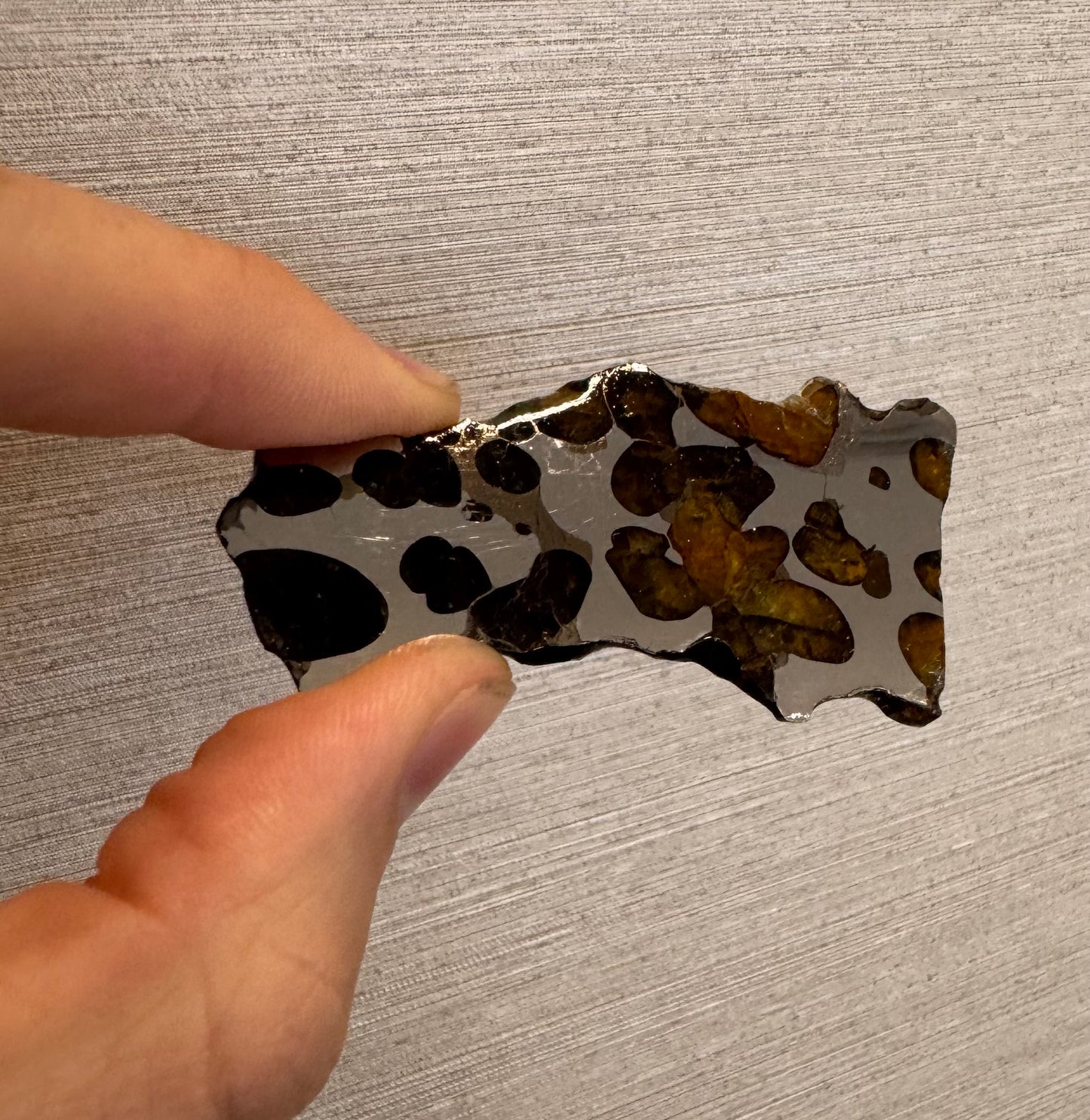 Brenham Pallasite Slice 23 grams in stand