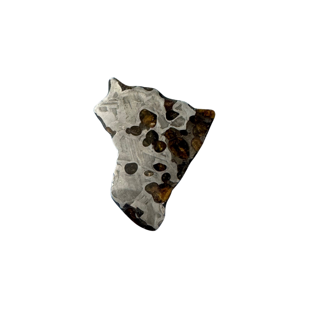 Brenham Pallasite Slice 15 grams in stand
