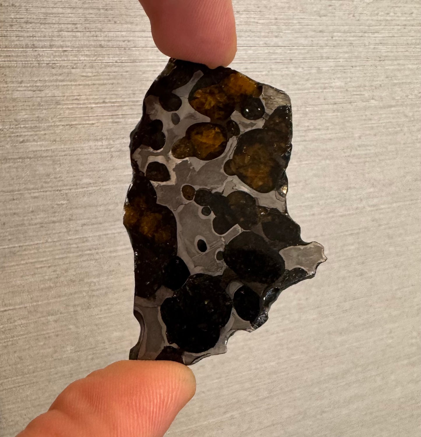 Brenham Pallasite Slice 24 grams in stand