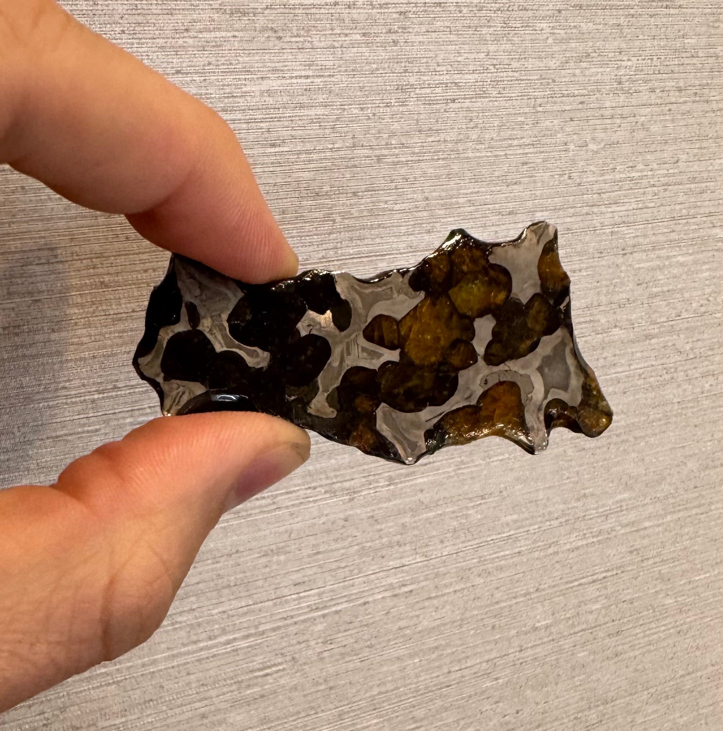 Brenham Pallasite Slice 23 grams in stand