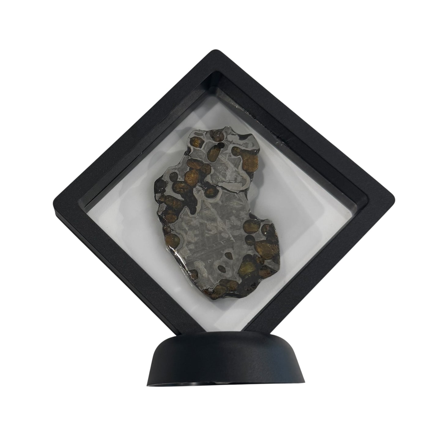 Brenham Pallasite Slice 40 grams in stand