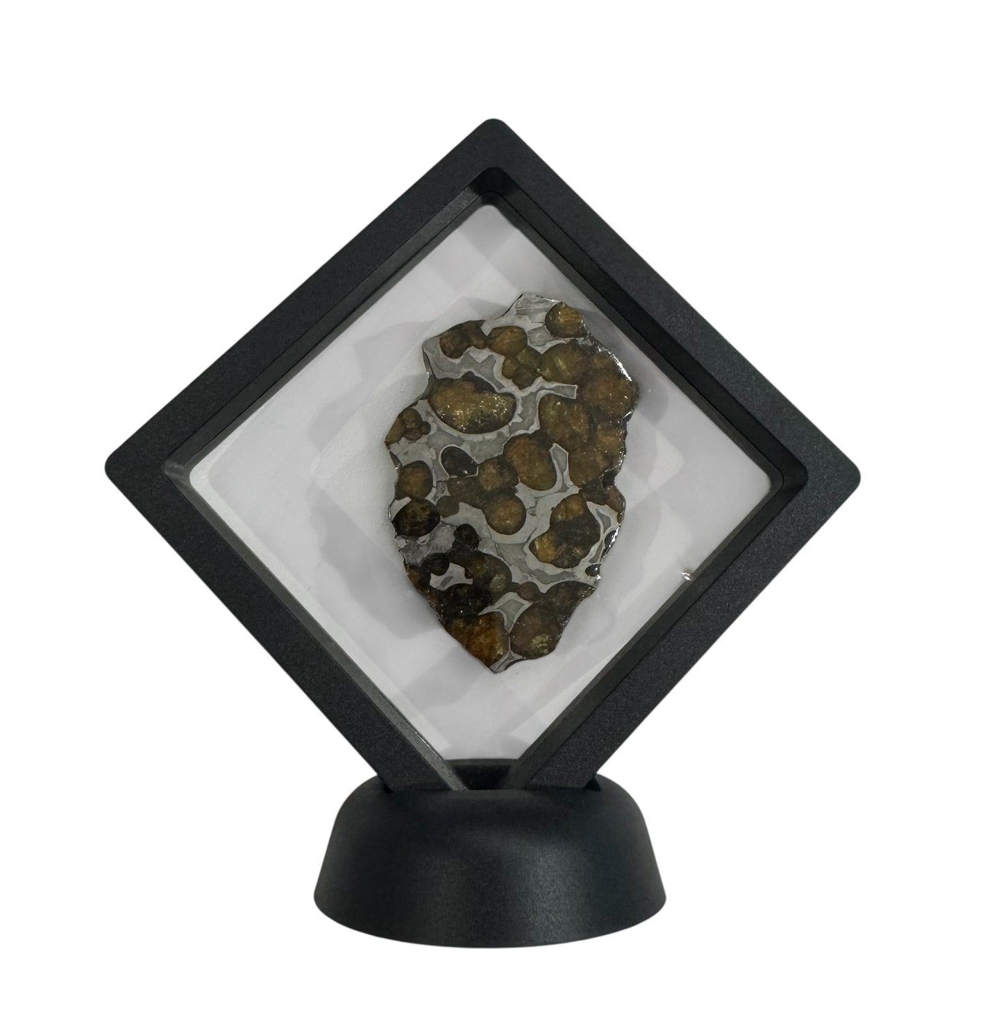 Brenham Pallasite Slice 29 grams in stand