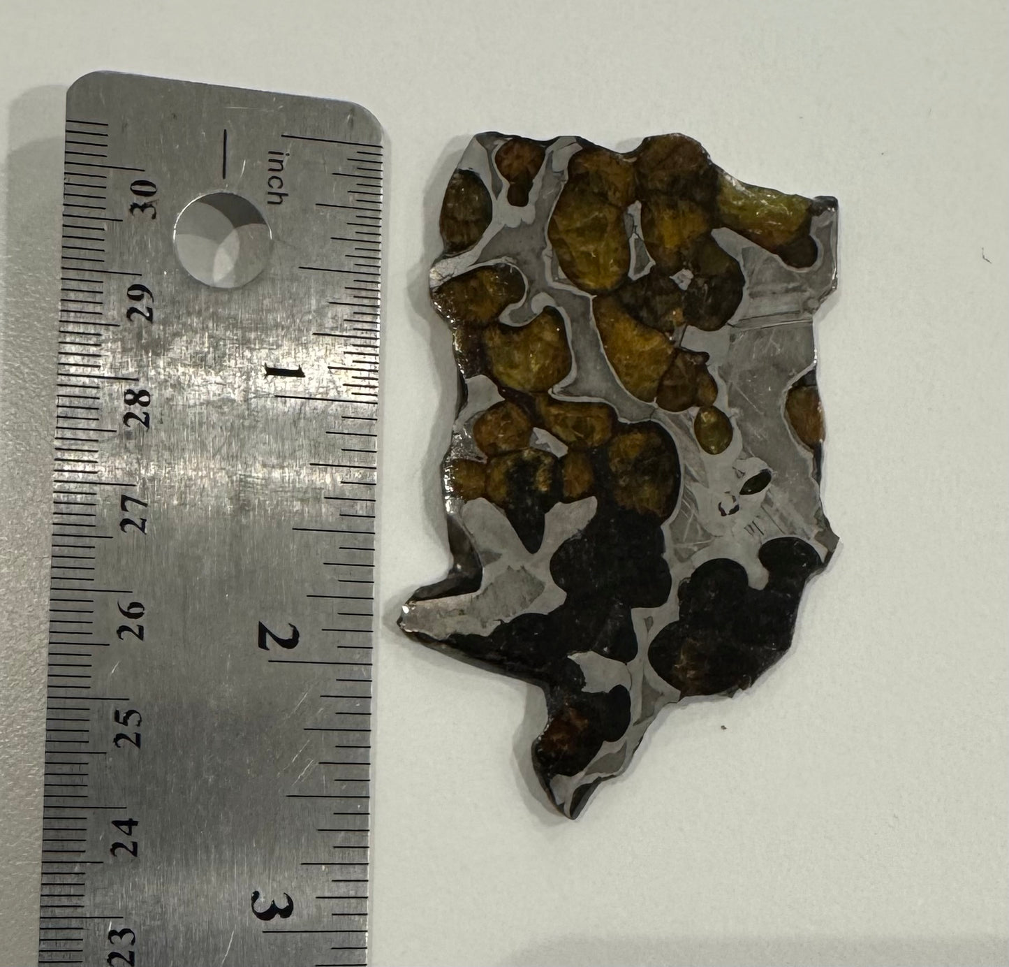 Brenham Pallasite Slice 25 grams in stand