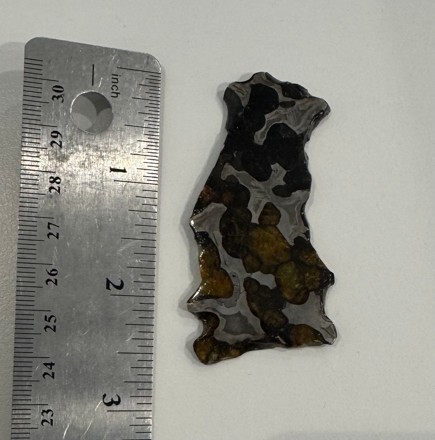 Brenham Pallasite Slice 23 grams in stand