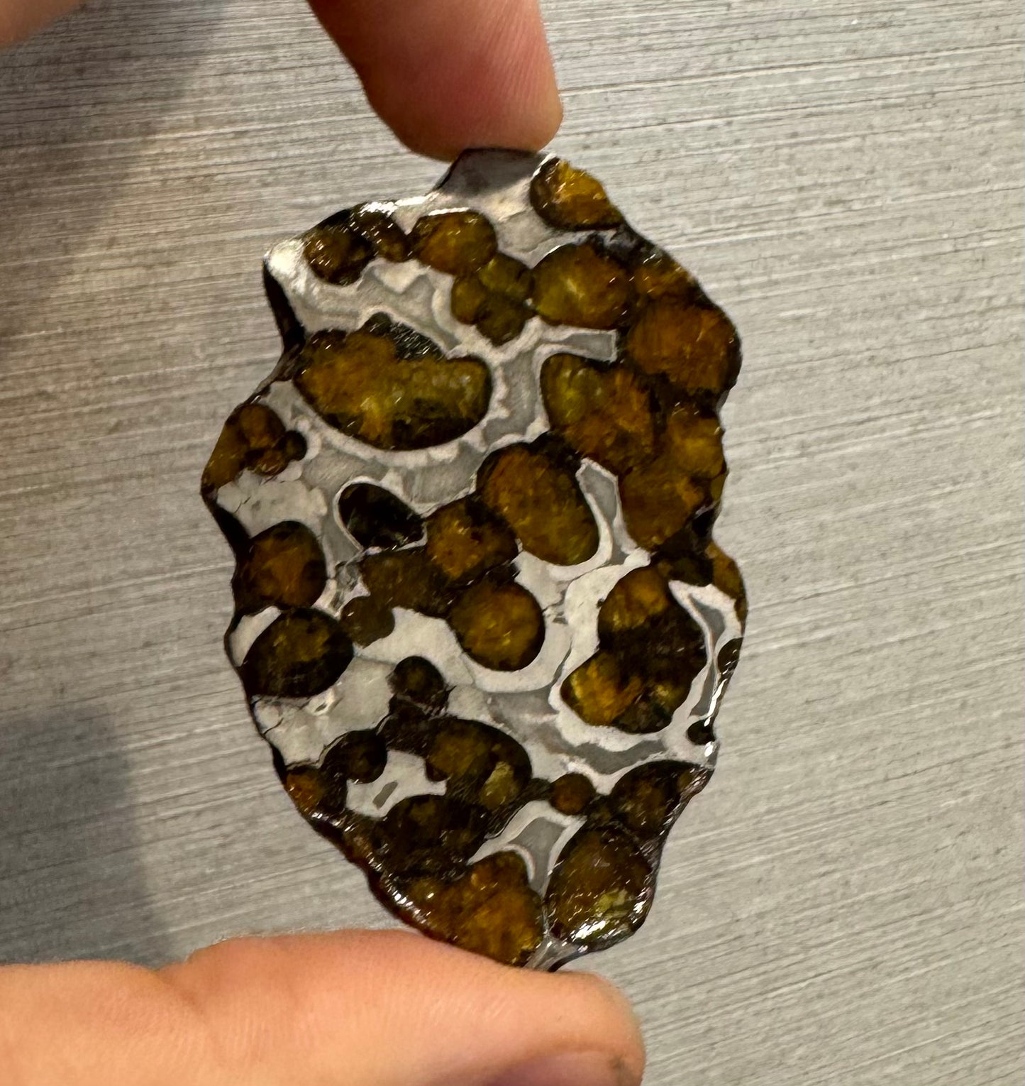 Brenham Pallasite Slice 29 grams in stand
