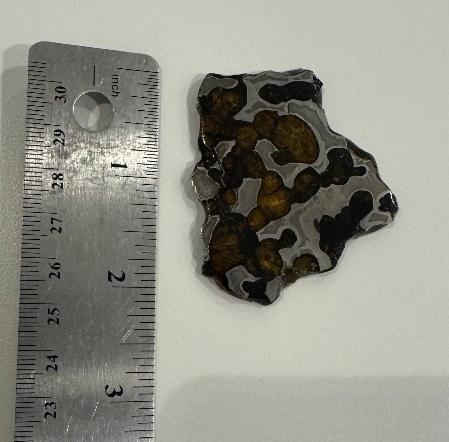 Brenham Pallasite Slice 30 grams in stand