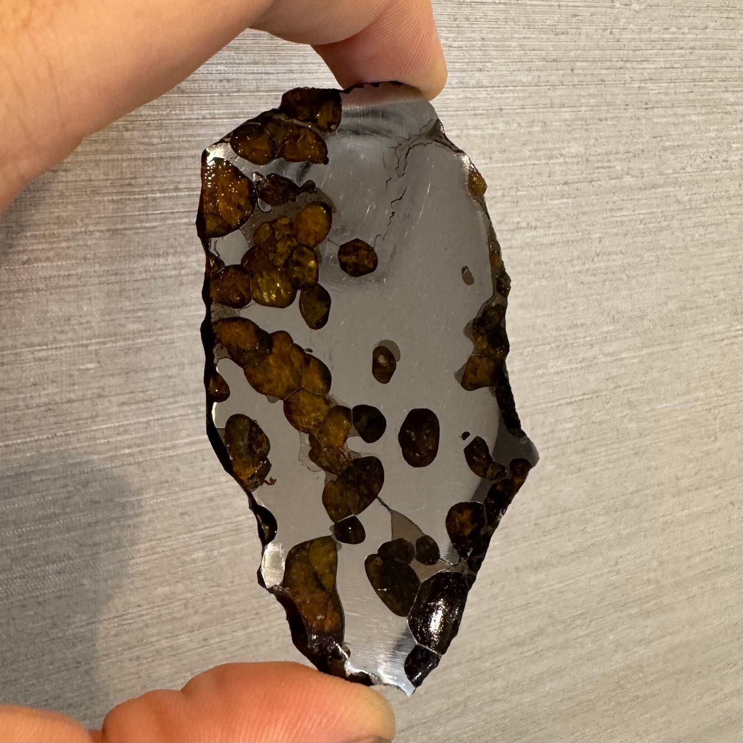 Brenham Pallasite Slice 53 grams in stand