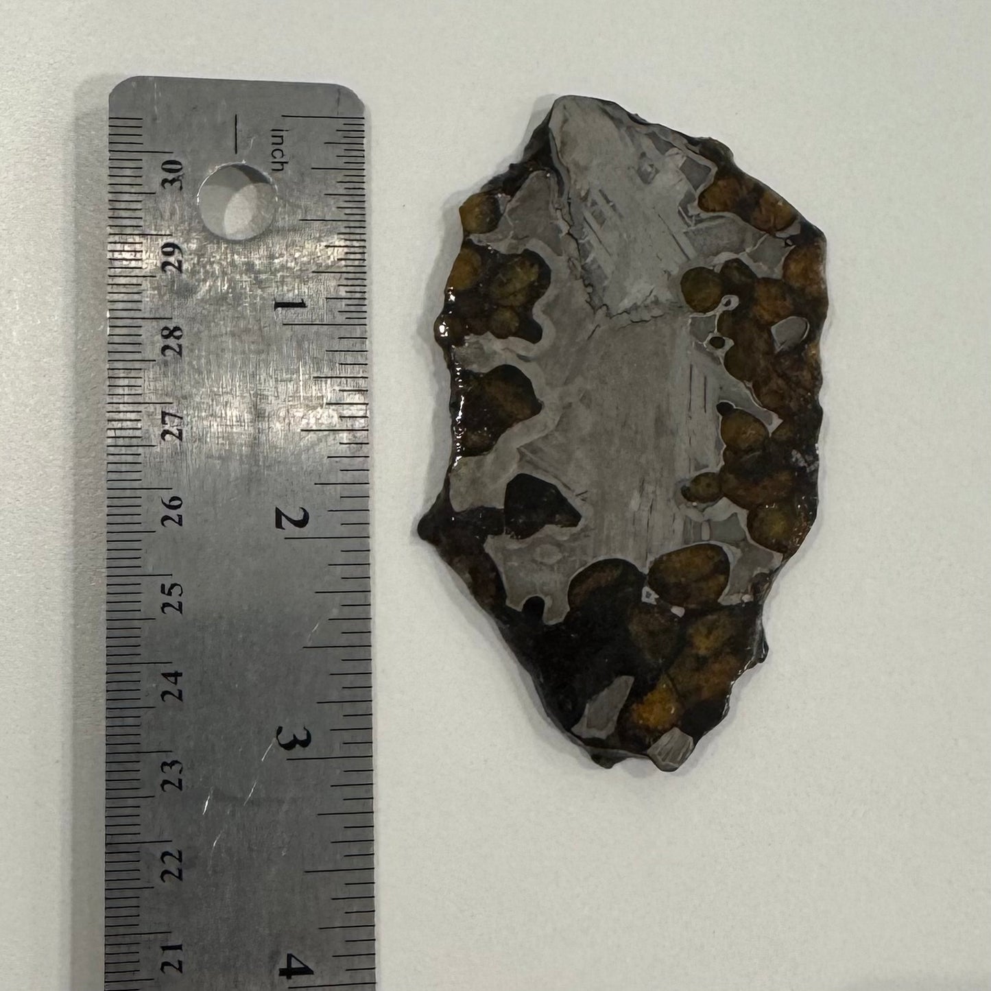 Brenham Pallasite Slice 53 grams in stand