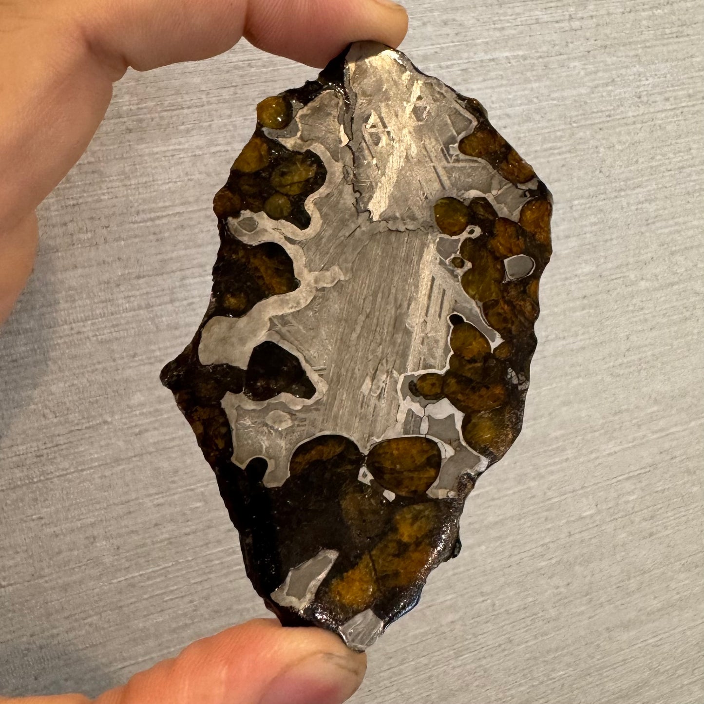 Brenham Pallasite Meteorite