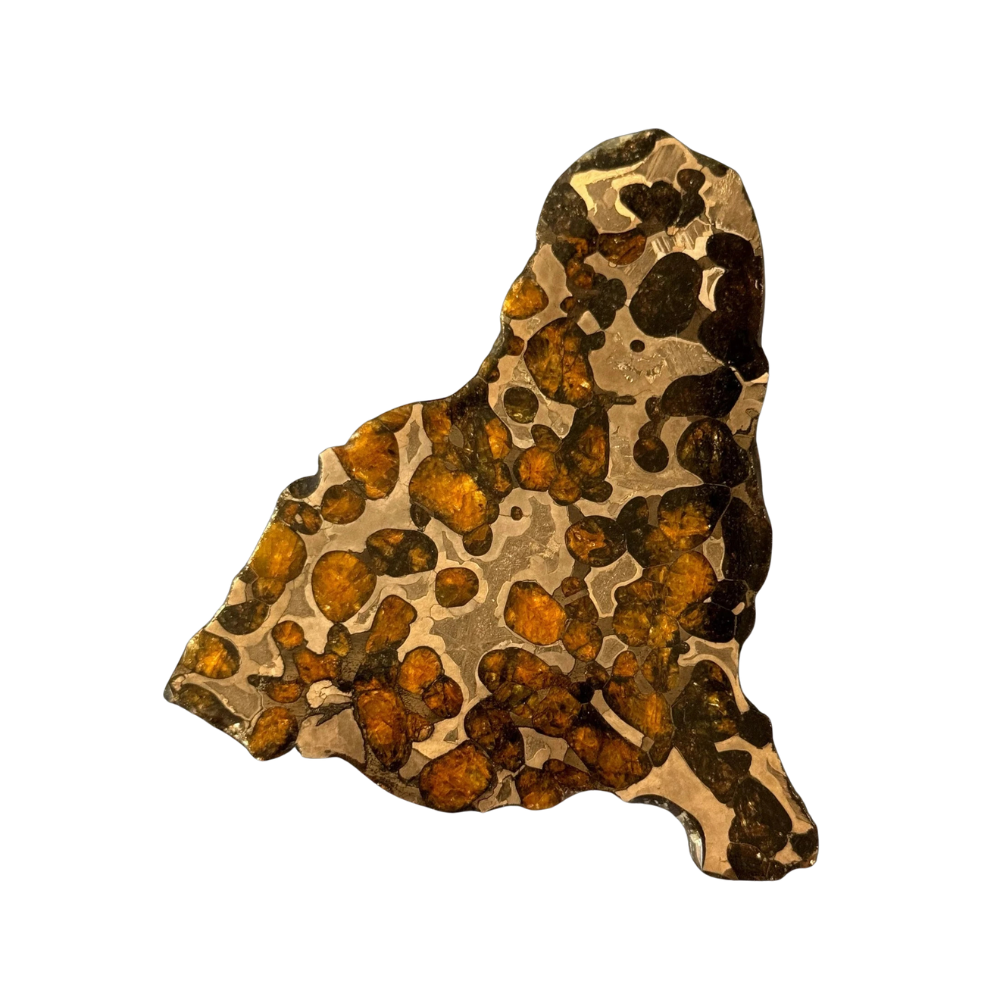 Brenham Pallasite Slice 58 grams – Jurassic Gallery