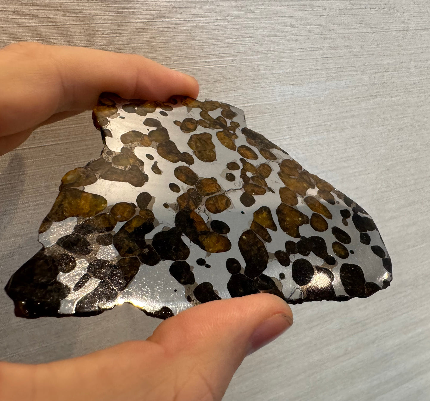 Brenham Pallasite Slice 98 grams