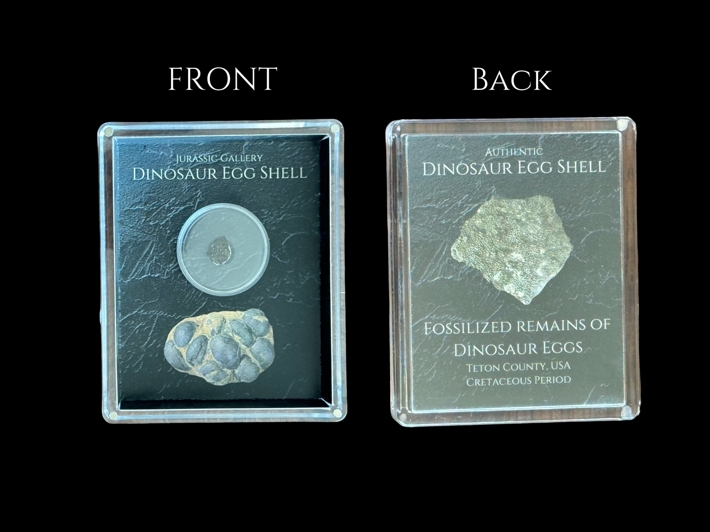 Dinosaur Egg Shell Gift Box