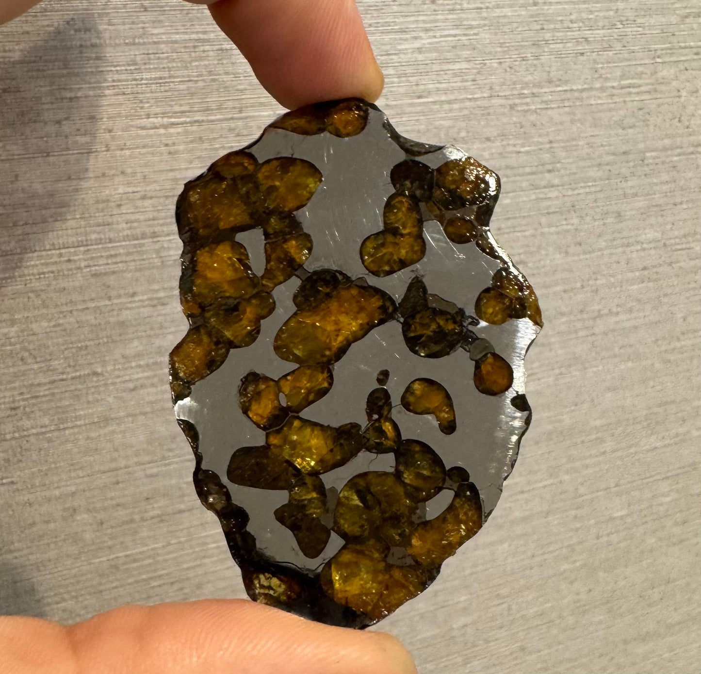 Brenham Pallasite Slice 29 grams in stand