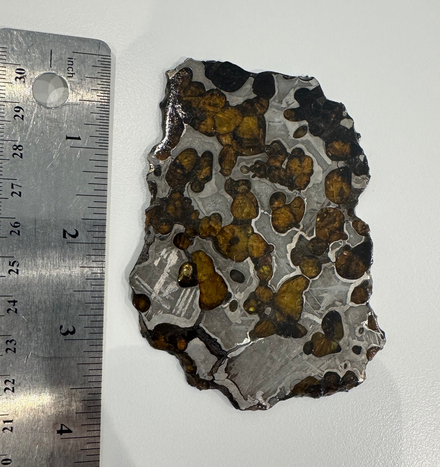 Brenham Pallasite Slice 67 grams
