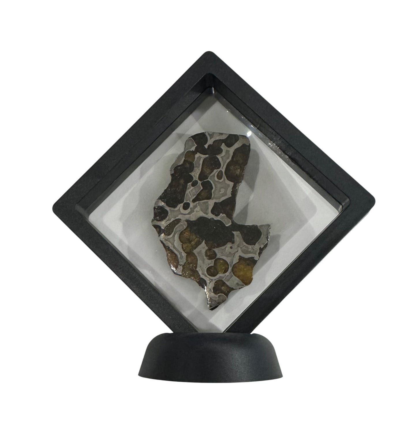 Brenham Pallasite Slice 27 grams in stand