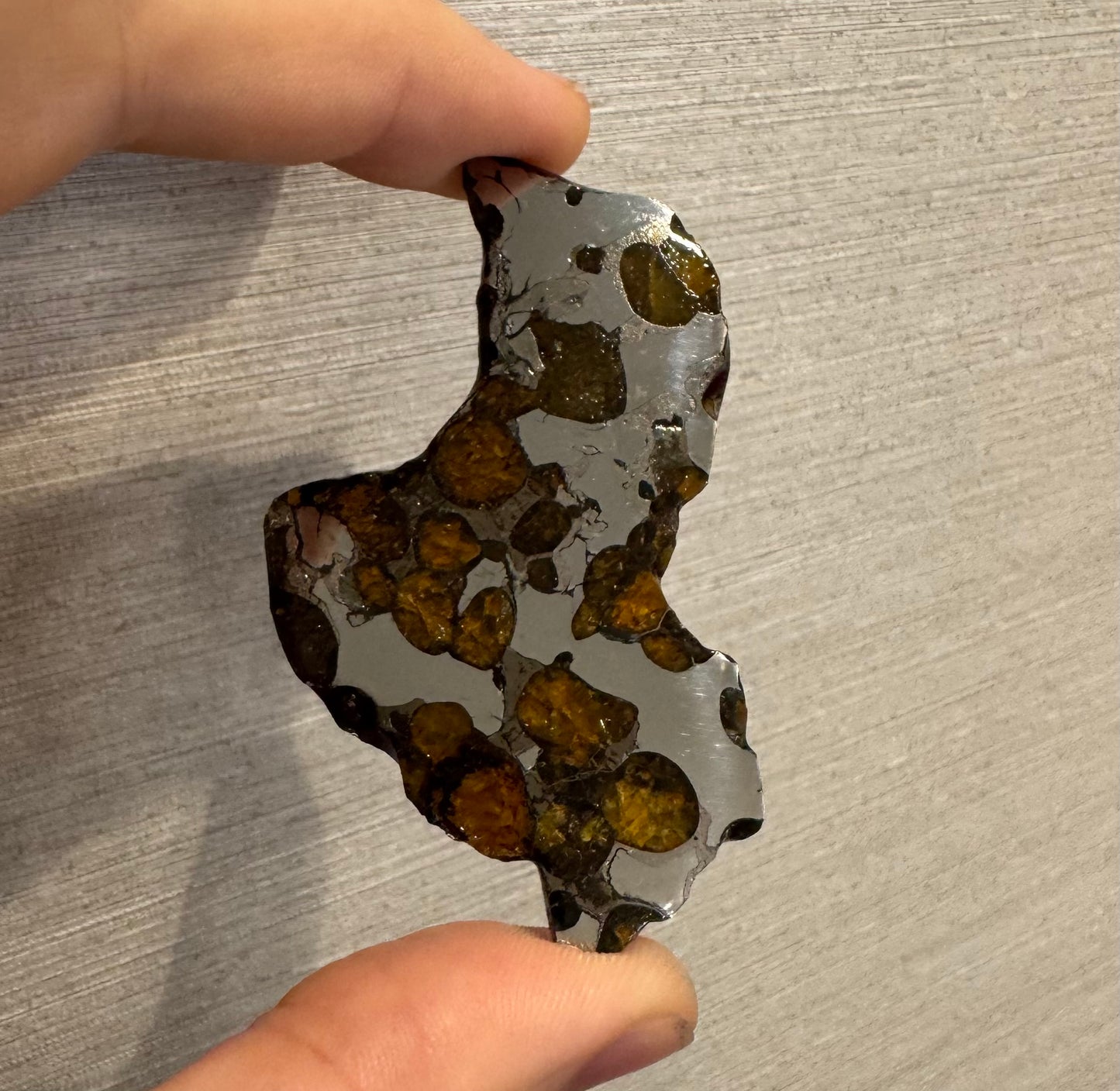 Brenham Pallasite Slice 28 grams in stand