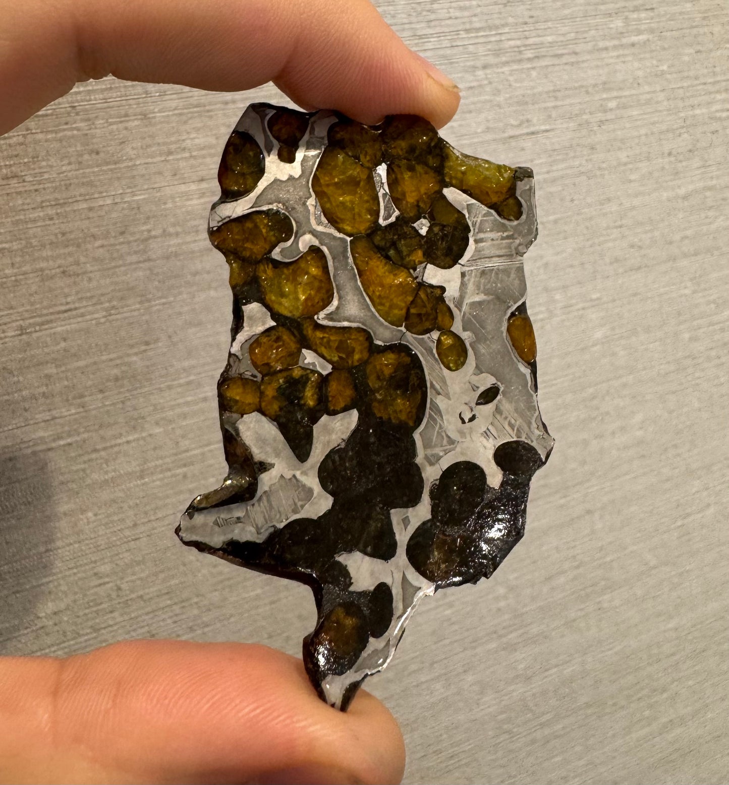 Brenham Pallasite Slice 25 grams in stand