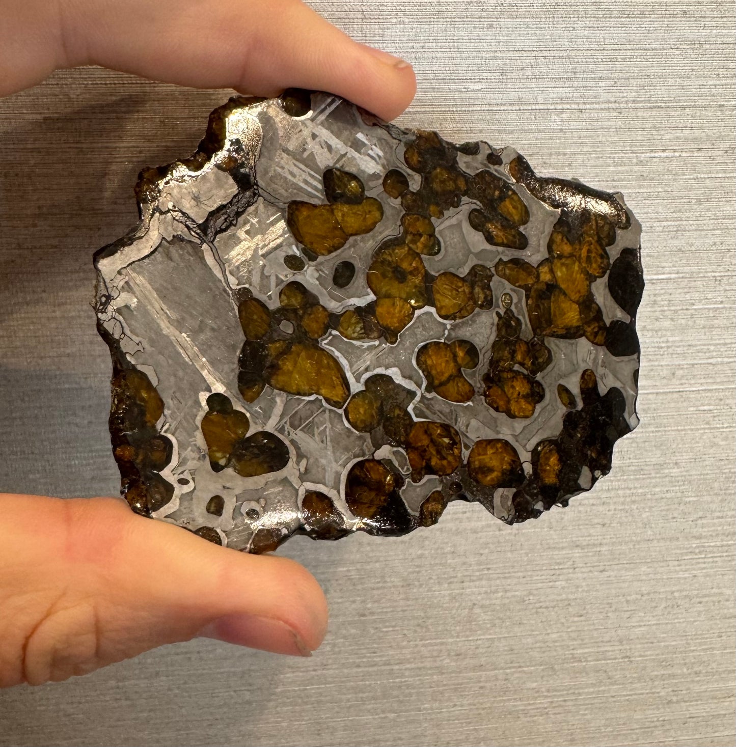 Brenham Pallasite Slice 67 grams